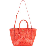 Prada Ostrich Leather Twin Pocket Tote Handbag