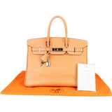 Hermès Fjord Leather Birkin 35 Handbag Beige Brown Palladium Hardware - vintageandkickz