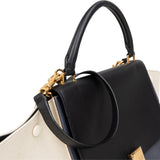 Céline Tricolor Leather and Canvas Trapeze Handbag