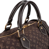 Louis Vuitton Monogram Mini Lin Idylle Speedy 30 Bandoulière Handbag
