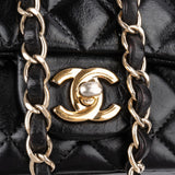 Chanel Quilted Leather Medium Double Flap Crossbody Bag