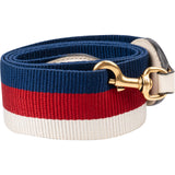 Gucci Multicolor Web Striped Sylvie Bag Strap