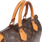 Louis Vuitton Monogram Canvas Speedy 25 Handbag