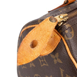 Louis Vuitton Monogram Canvas Speedy 25 Handbag