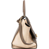 Céline Tricolor Leather Trapeze Handbag