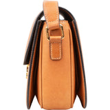 Celine Canvas Leather Triomphe Crossbody Bag