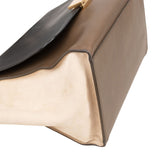 Céline Tricolor Leather Trapeze Handbag