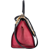 Celine Tricolor Suede Leather Trapeze Handbag