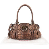 Salvatore Ferragamo Python Marisa Satchel Shoulder Bag