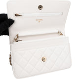 Chanel Quilted Caviar Leather Wallet On Chain Crossbody Bag