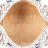 Christian Dior Trotter Monogram Oblique Canvas Boston 30 Handbag