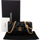 Chanel Quilted Lambskin Single Flap Adjustable Crossbody Bag