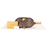 Louis Vuitton Monogram Canvas Bumbag Crossbody Bag