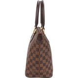 Louis Vuitton Monogram Damier Ebene Saleya PM Handbag