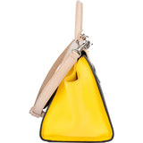 Céline Tricolor Leather Trapeze Handbag