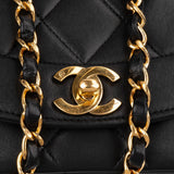 Chanel Quilted Lambskin Diana 24K Gold Single Flap Crossbody Bag
