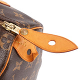 Louis Vuitton Monogram Canvas Speedy 25 Handbag