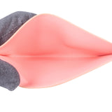 Louis Vuitton Pochette Félicie Cardholder Organizer