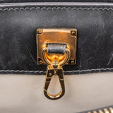 Louis Vuitton Python City Steamer Mini Handbag N95975