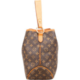 Louis Vuitton Monogram Canvas Delightful PM Shoulder Bag