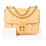 Chloé Python Elsie Shoulder Crossbody Bag