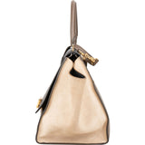 Céline Tricolor Leather Trapeze Handbag