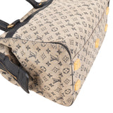 Louis Vuitton Monogram Mini Lin Josephine PM Handbag