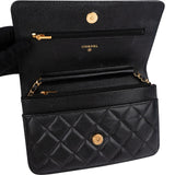 Chanel Quilted Caviar Leather Wallet On Chain Crossbody Bag
