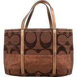 Coach Monogram Signature Stripe Lurex Glam Small Tote Handbag