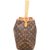 Louis Vuitton Monogram Canvas Delightful PM Shoulder Bag