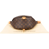 Louis Vuitton Monogram Canvas Bumbag Crossbody Bag
