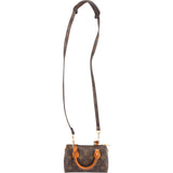 Louis Vuitton Monogram Canvas Mini Speedy Handbag