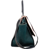 Céline Tricolor Leather Pony Hair Trapeze Handbag