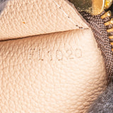 Louis Vuitton Monogram Canvas Bucket Pochette Accessoires Shoulder Bag