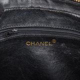 Chanel Pony Hair & Leather Tassel Camera Crossbody Bag