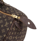 Louis Vuitton Monogram Mini Lin Speedy 30 Handbag