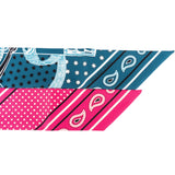 Hermès Brides De Gala Bandana Twilly Tuch Scarf