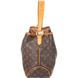 Louis Vuitton Monogram Canvas Delightful PM Shoulder Bag