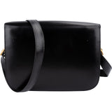 Celine Box Calfskin Trimophe Shoulder Crossbody Bag
