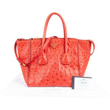 Prada Ostrich Leather Twin Pocket Tote Handbag