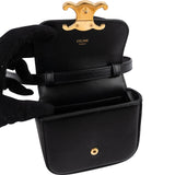 Celine Shiny Calfskin Mini Triomphe Crossbody Bag