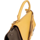 Celine Bicolor Leather Trapeze Handbag