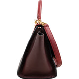 Celine Tricolor Leather Trapeze Handbag
