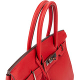 Hermès Rouge Garance Togo Leather Palladium Birkin 30 Handbag