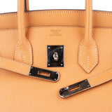 Hermès Fjord Leather Birkin 35 Handbag Beige Brown Palladium Hardware - vintageandkickz