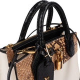 Louis Vuitton Python City Steamer Mini Handbag N95975