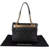 Chanel Quilted Leather Trendy CC  Shoulder Bag