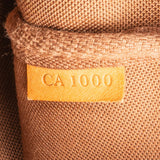 Louis Vuitton Monogram Canvas Pochette Accessoires Handbag