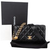 Chanel Quilted Caviar Leather Wallet On Chain Crossbody Bag