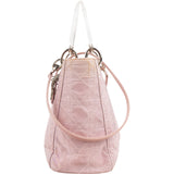 Christian Dior Nylon Cannage Transparent  Lady Dior Handbag